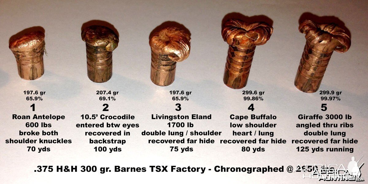 Barnes TSX Recovered Performance Report