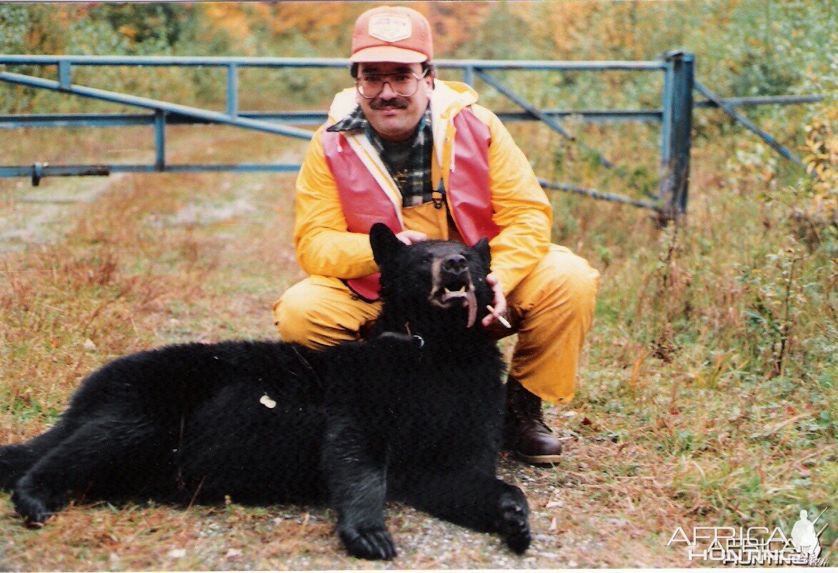 Bear hunted in Canada