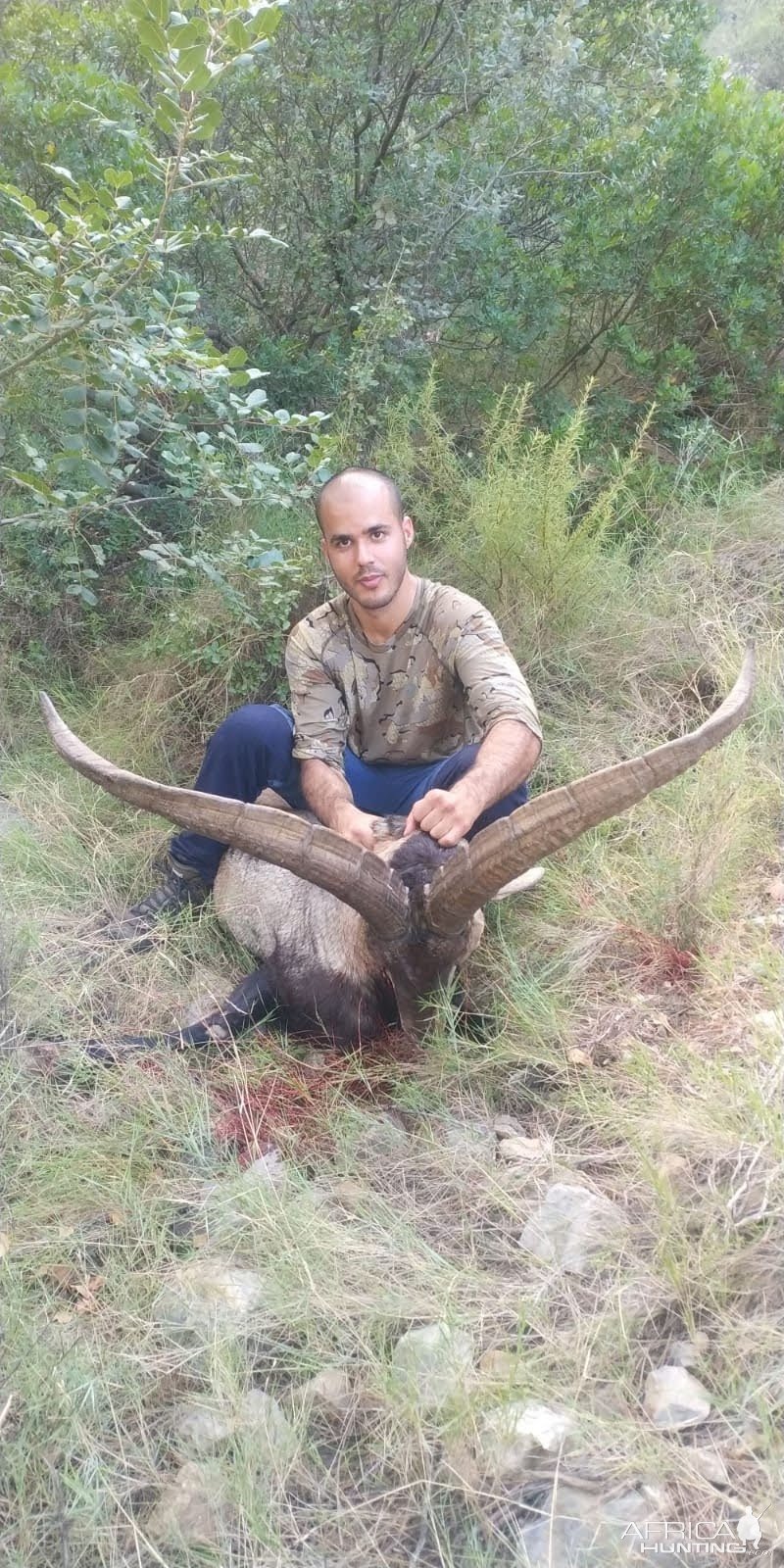 Beceite Ibex Bow Hunt Spain