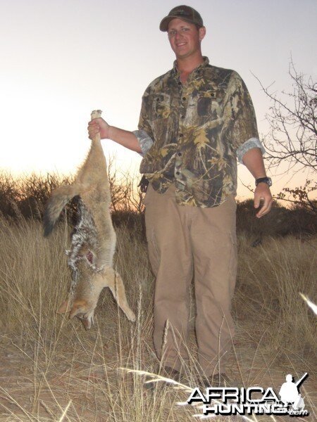 Black Back Jackal hunted at Westfalen Hunting Safaris Namibia