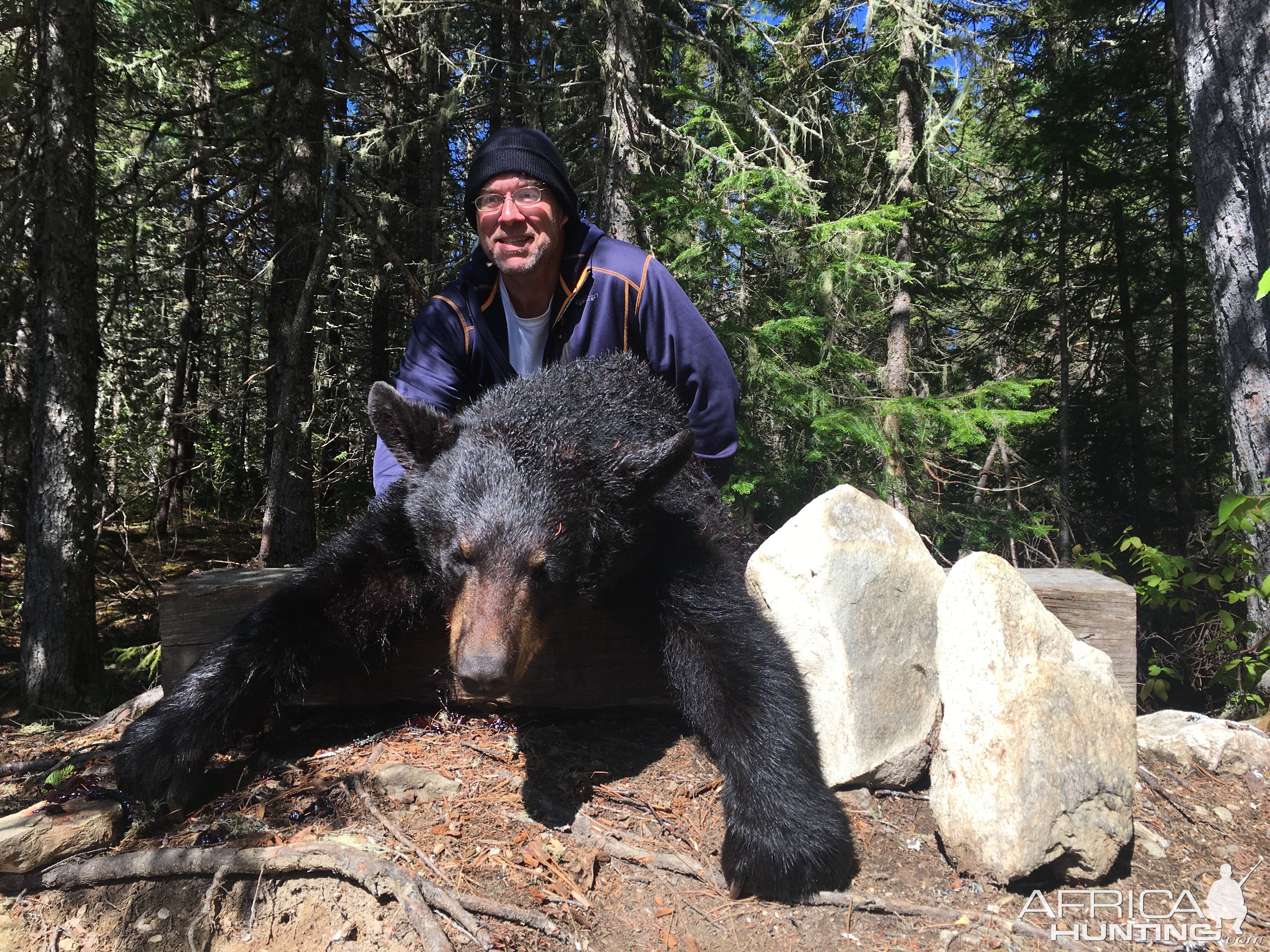 Black Bear Hunt Canada