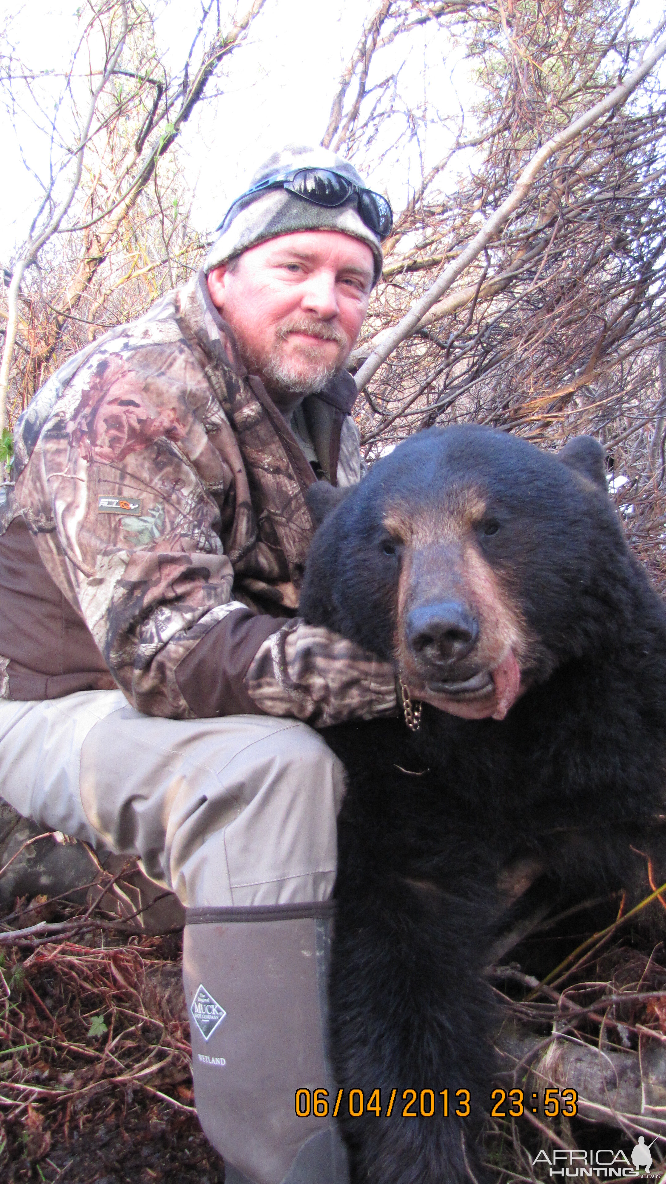 Black Bear Hunt in Alaska