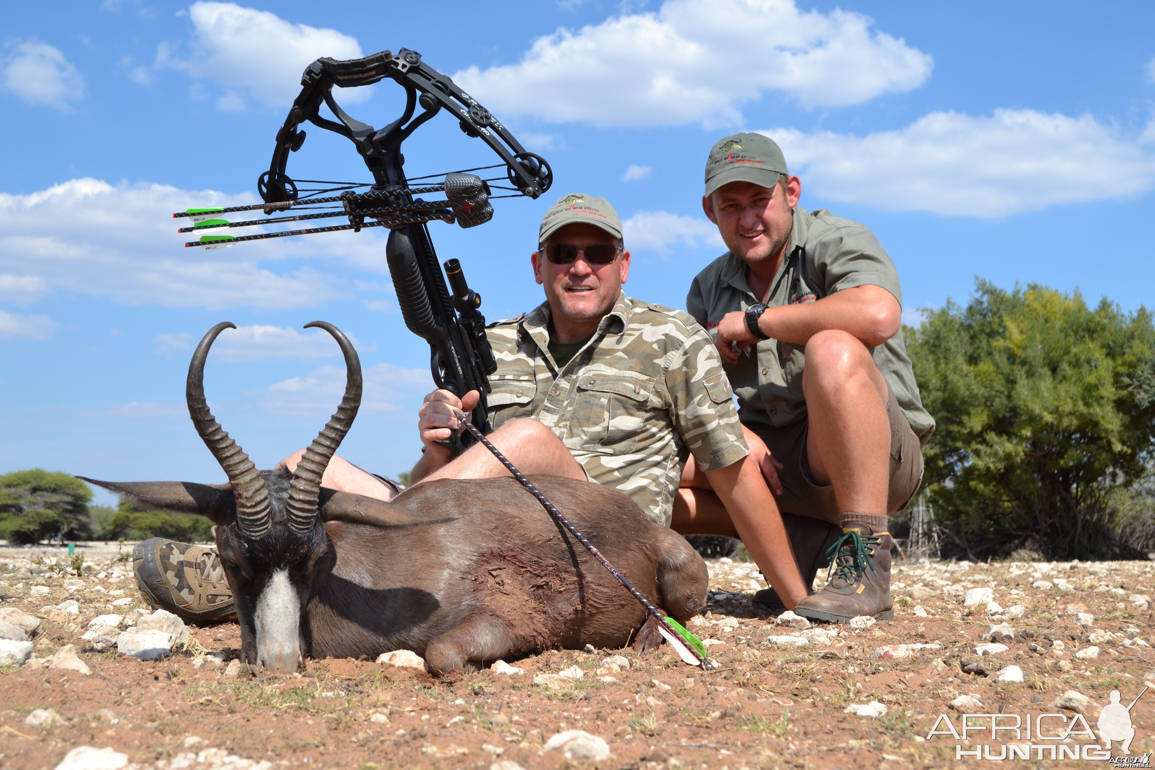 Black Springbok - Crossbow