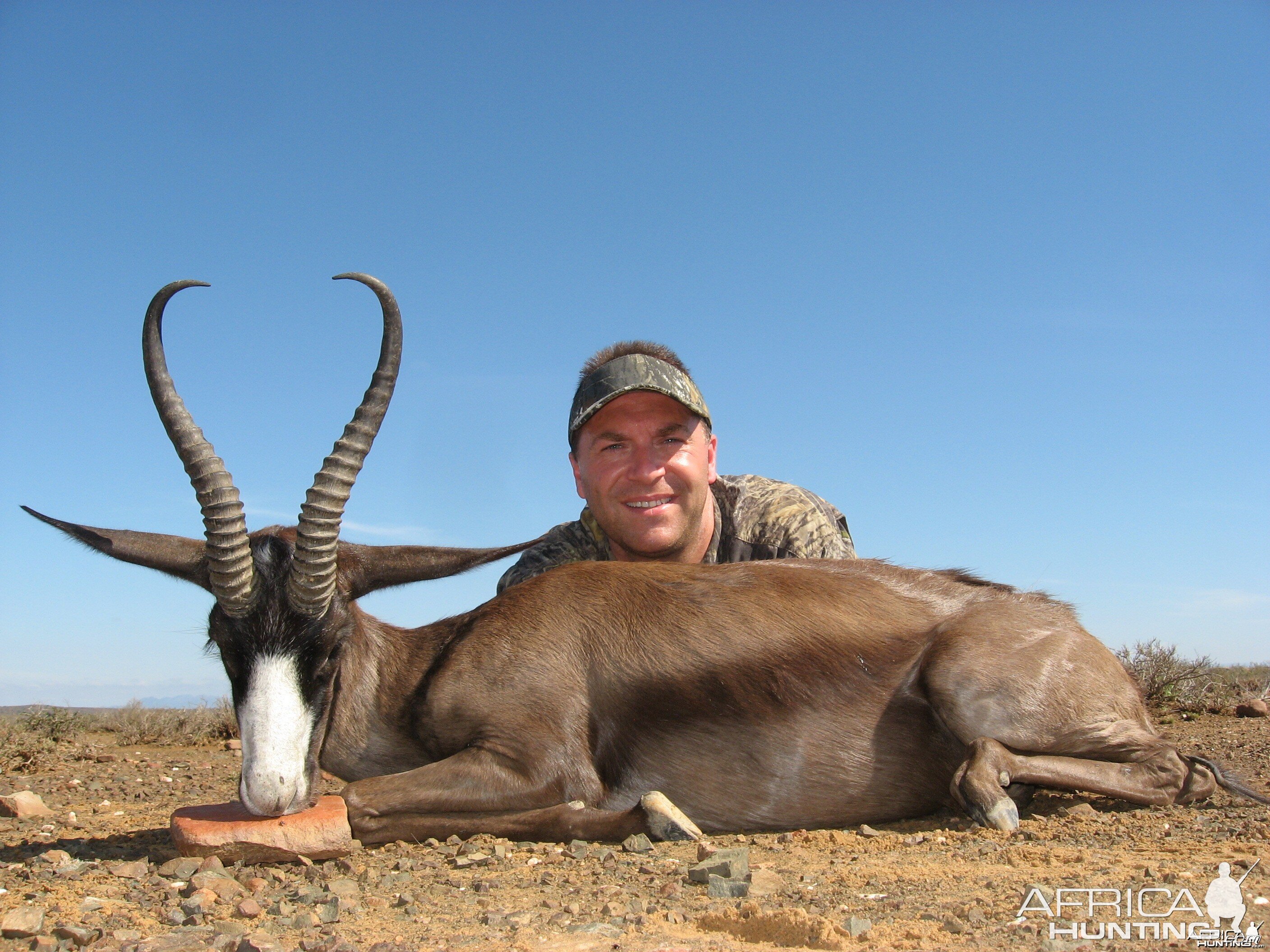 Black Springbuck taken with Andrew Harvey Safaris