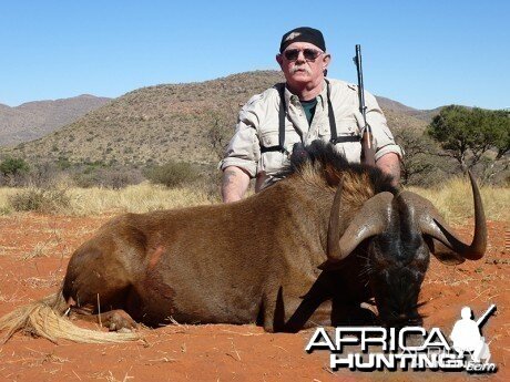 Black Wildebeest hunt with Wintershoek Johnny Vivier Safaris