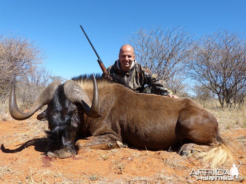 Black Wildebeest hunted with Wintershoek Johnny Vivier Safaris