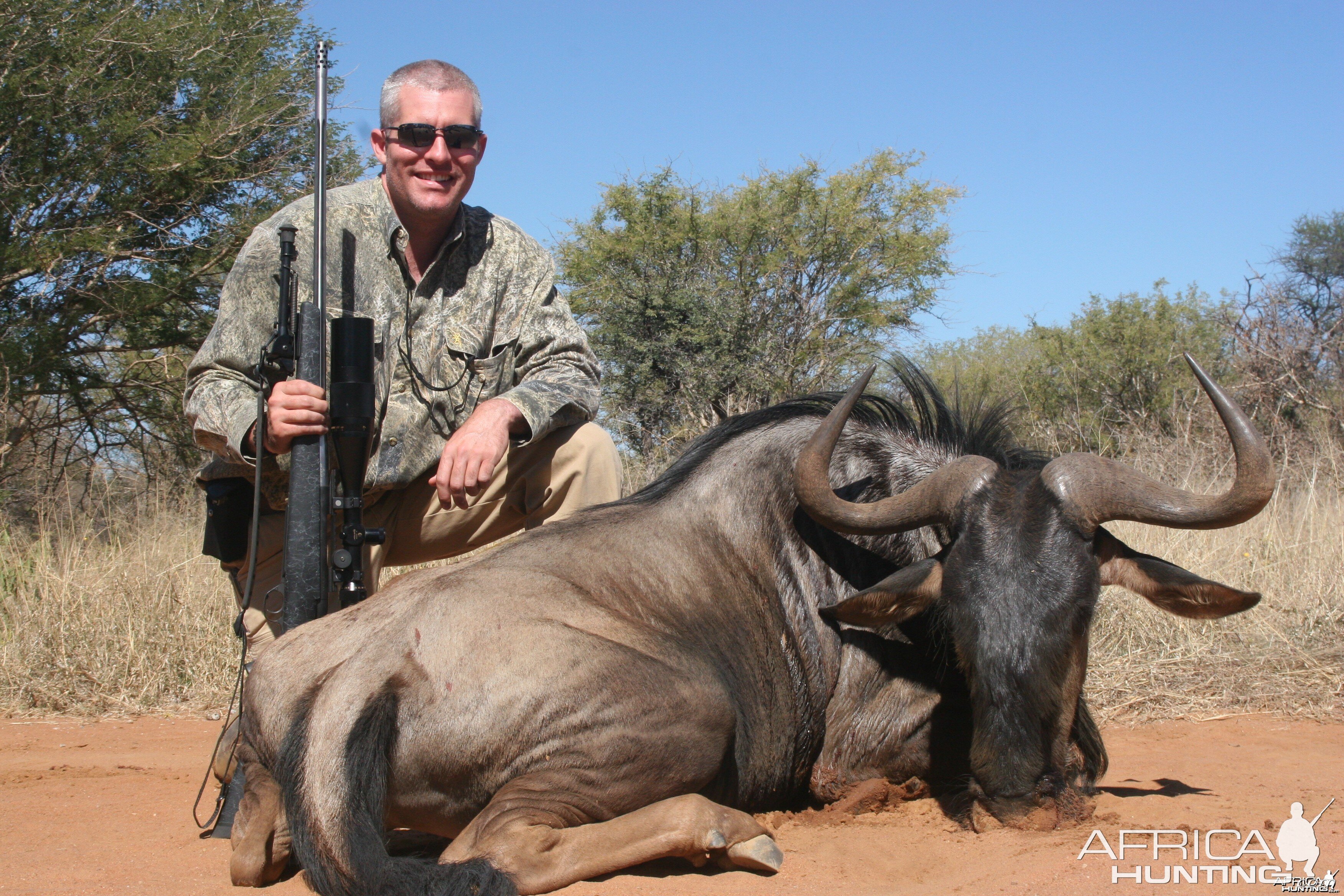 Blue Widebeest hunted w/ Motshwere Safaris