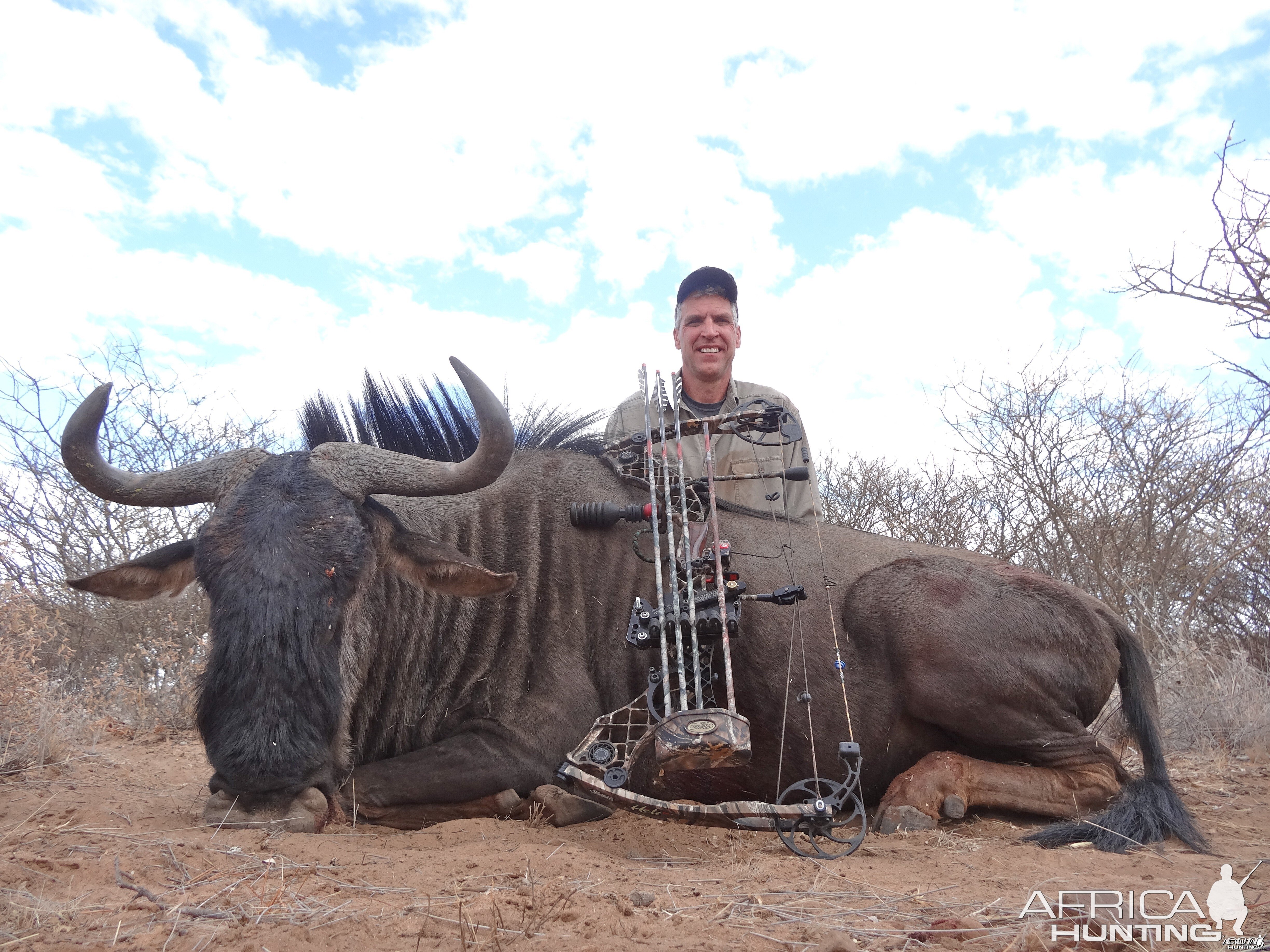 Blue Wildebeest Botswana 2013