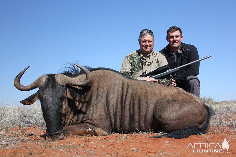 Blue Wildebeest hunt with Wintershoek Johnny Vivier Safaris