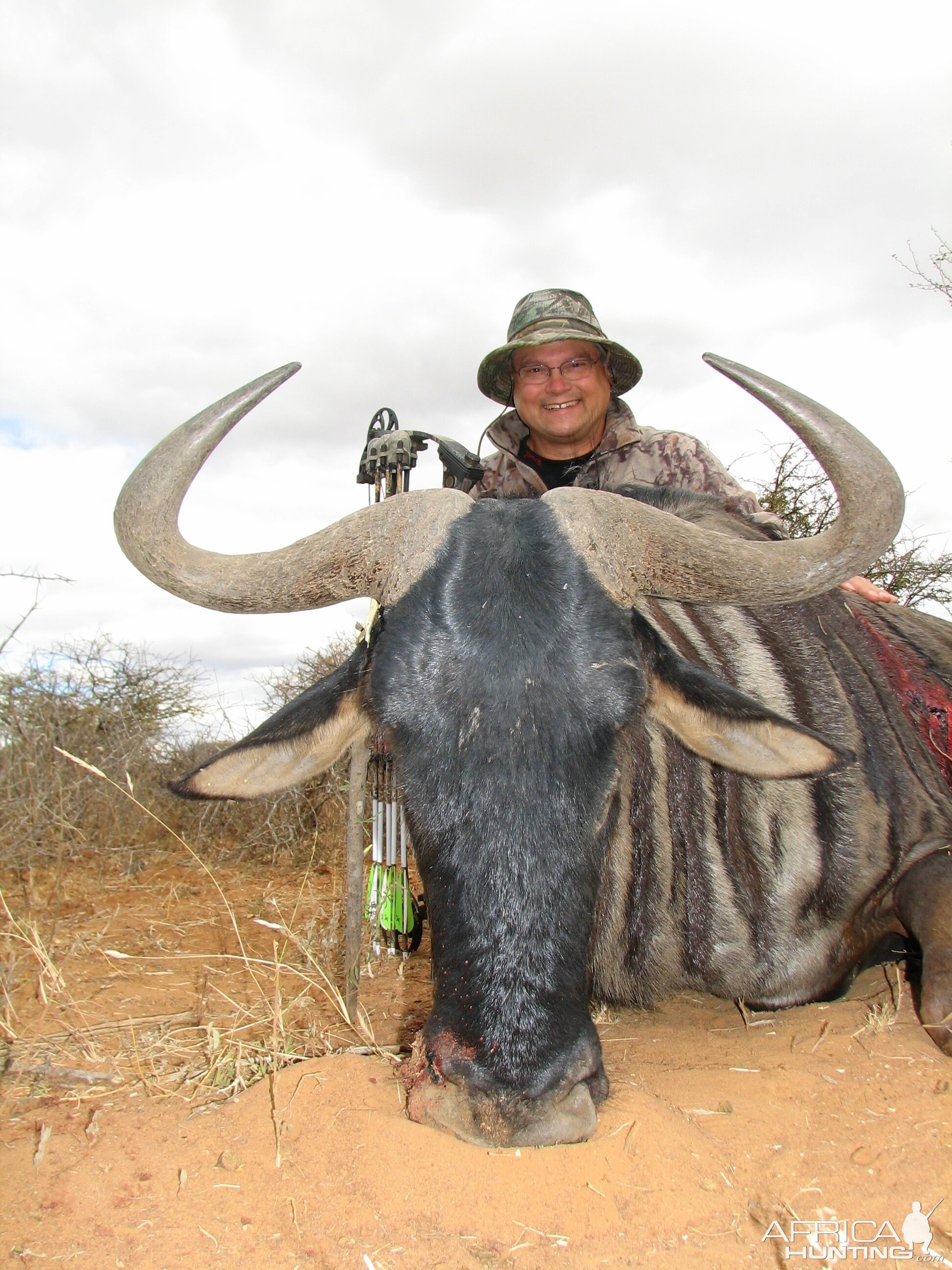 Bow Hunting Blue Wildebeest 2006 RSA Limpopo trip