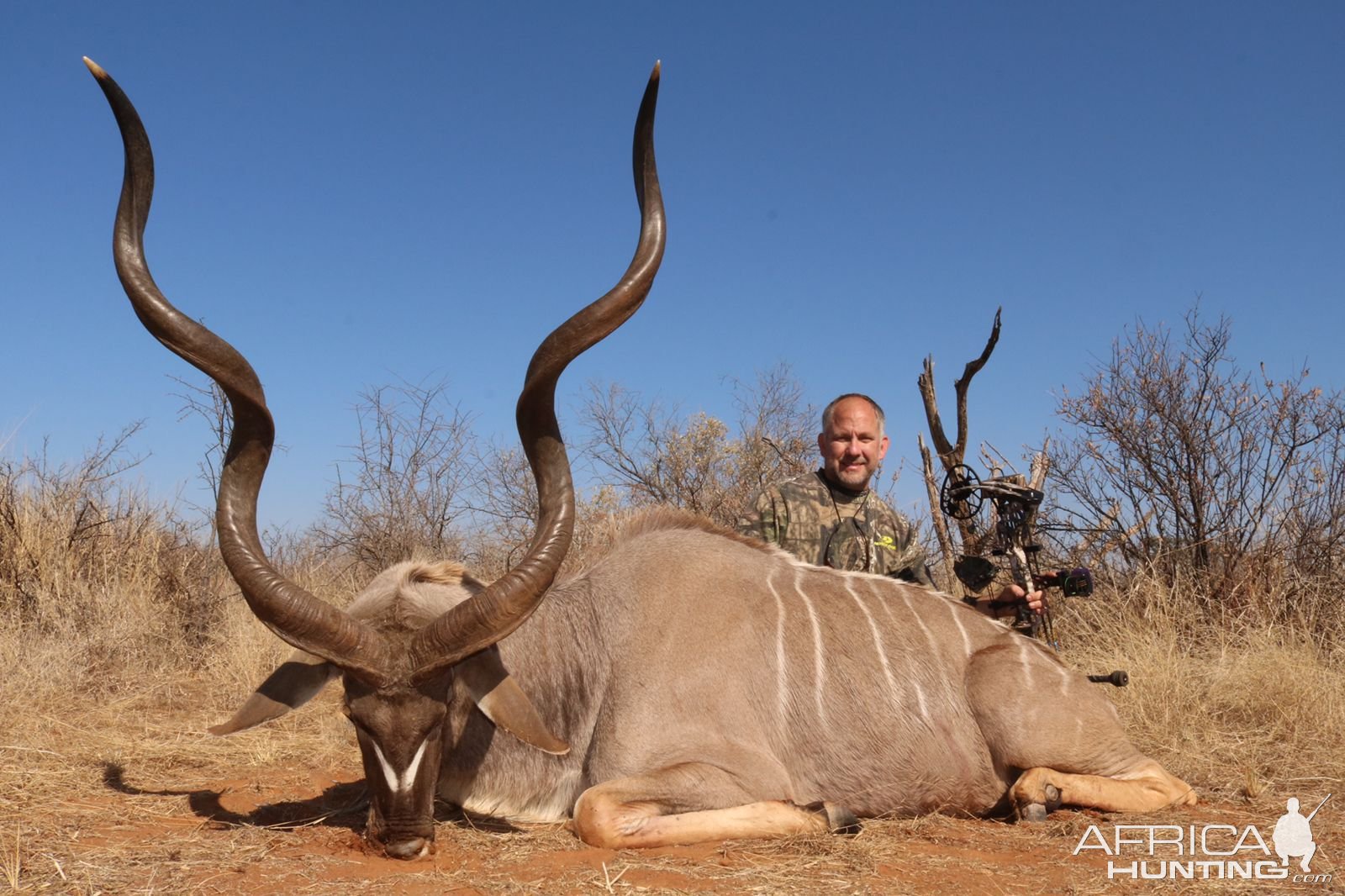Bow Hunting Kudu South Africa