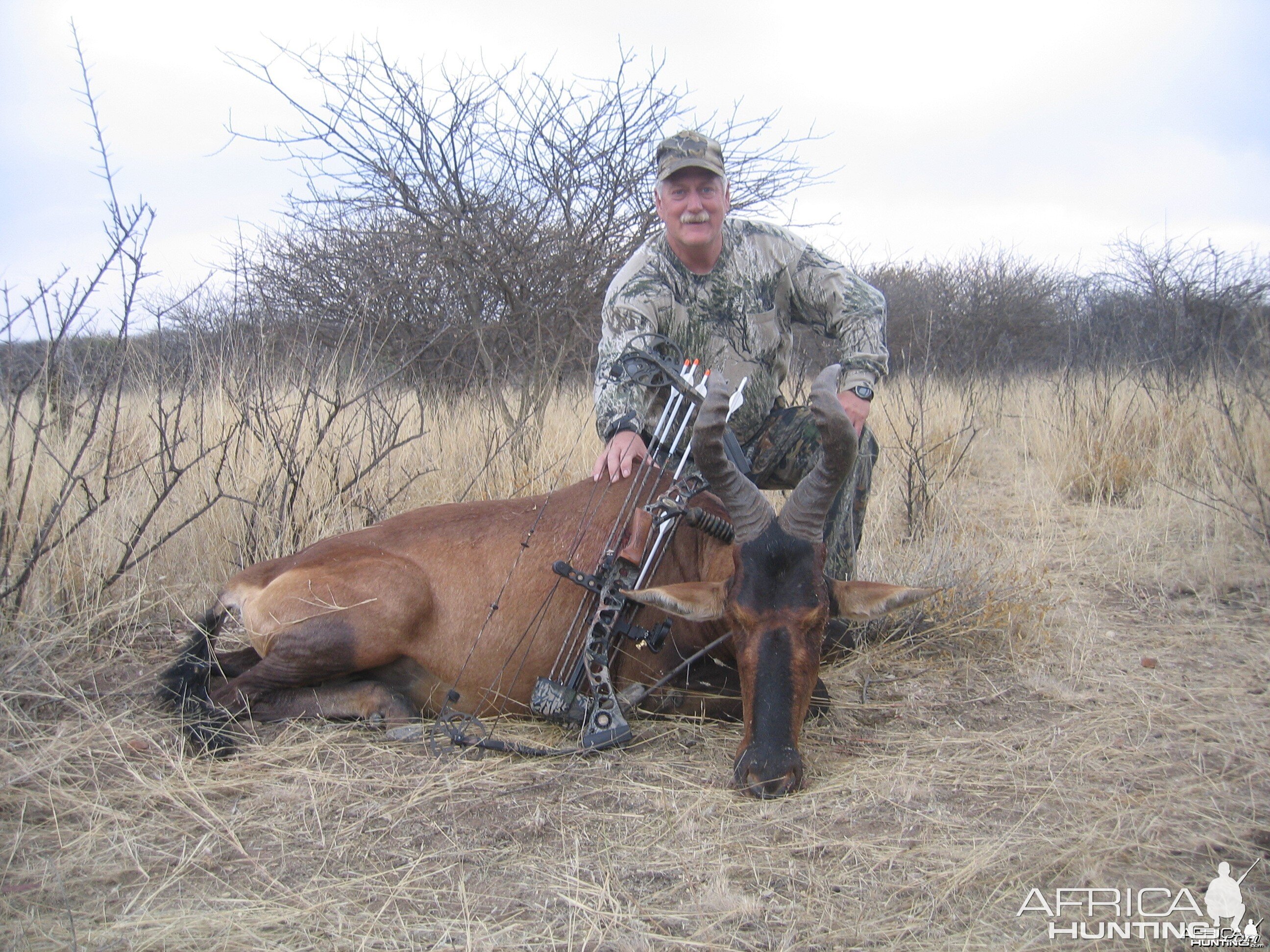 Bow Hunting Red Hartebeest in Namibia