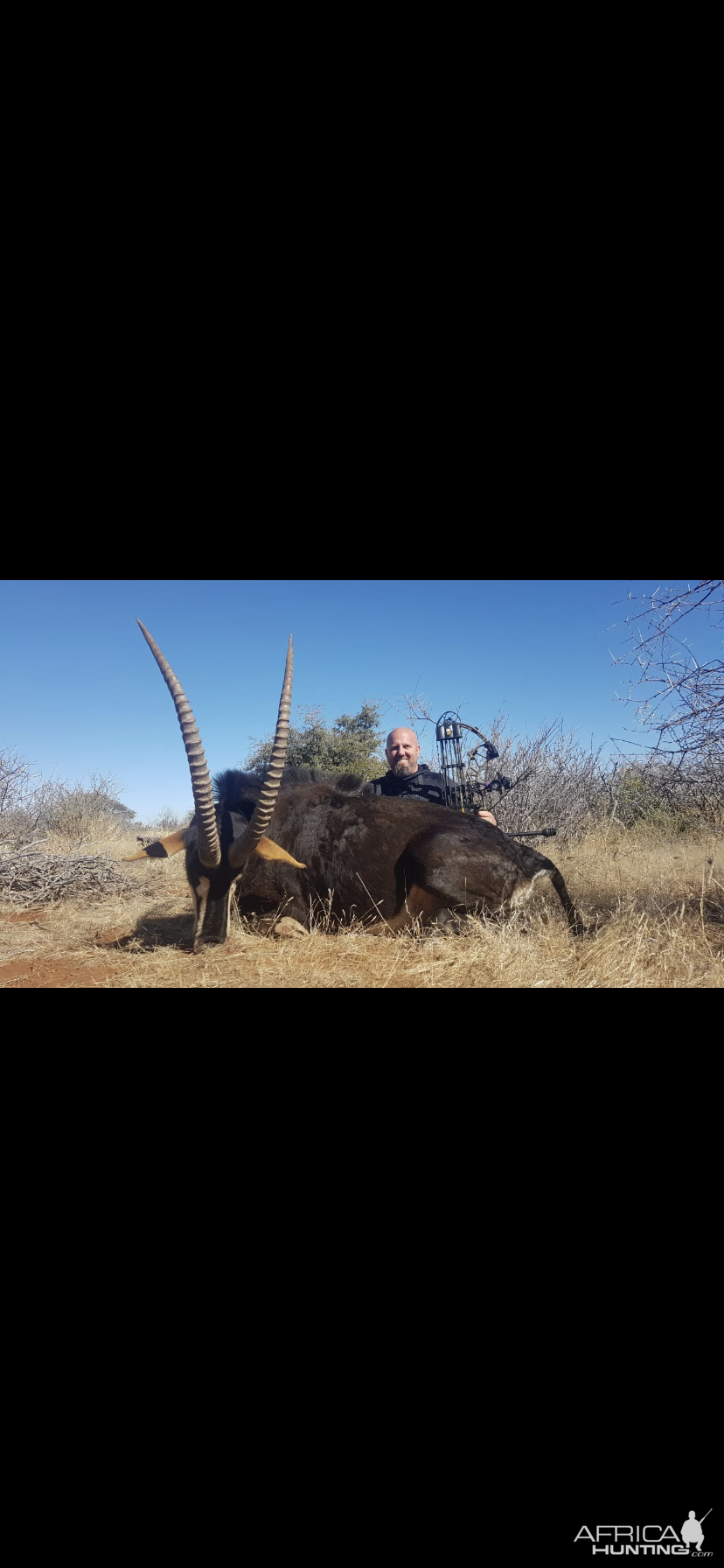 Bow Hunting Sable Antelope in South Africa