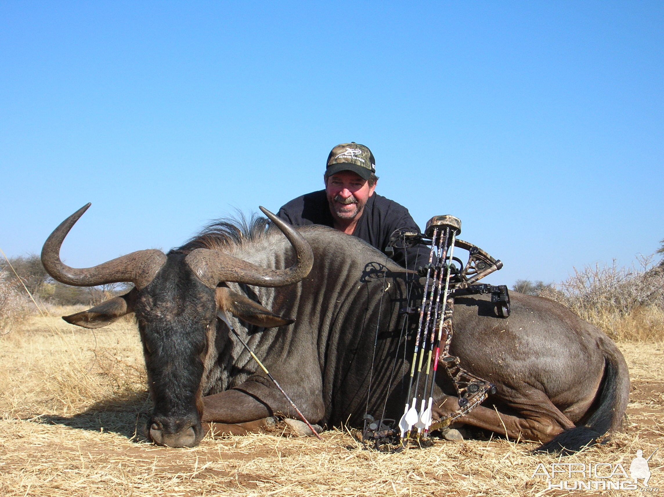 Bowhunting Blue Wildebeest in Namibia