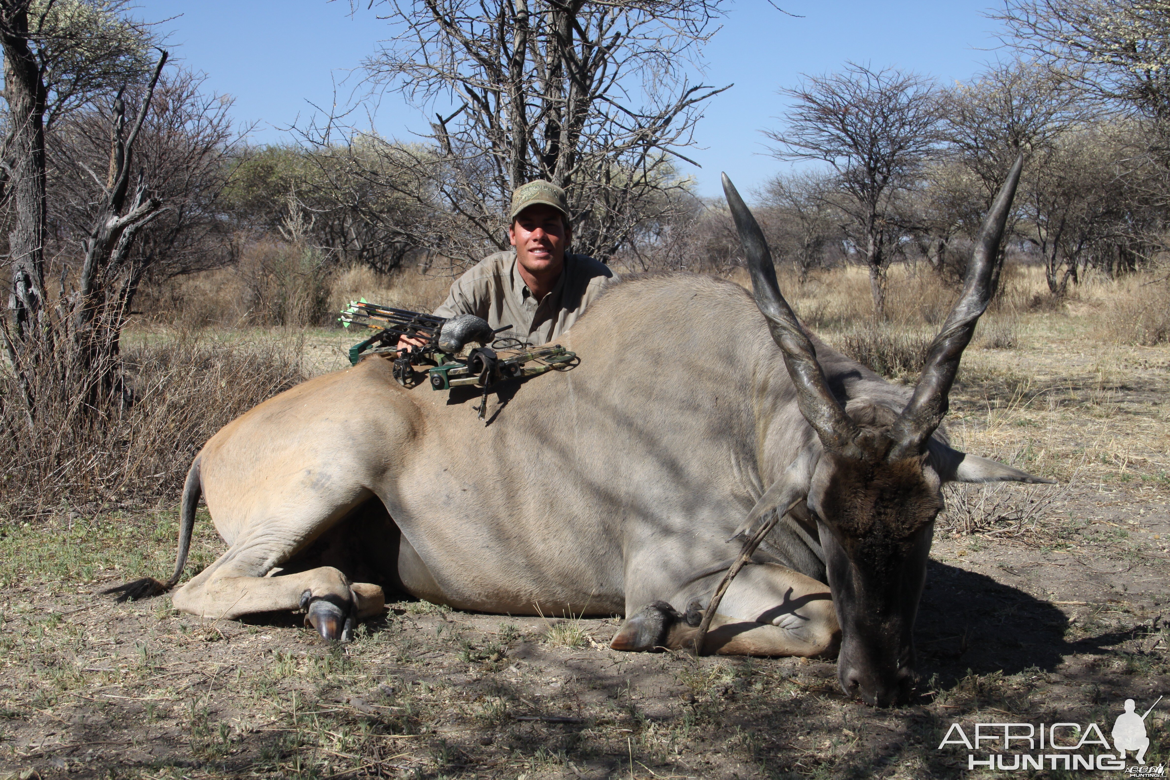 Bowhunting Cape Eland in Namibia