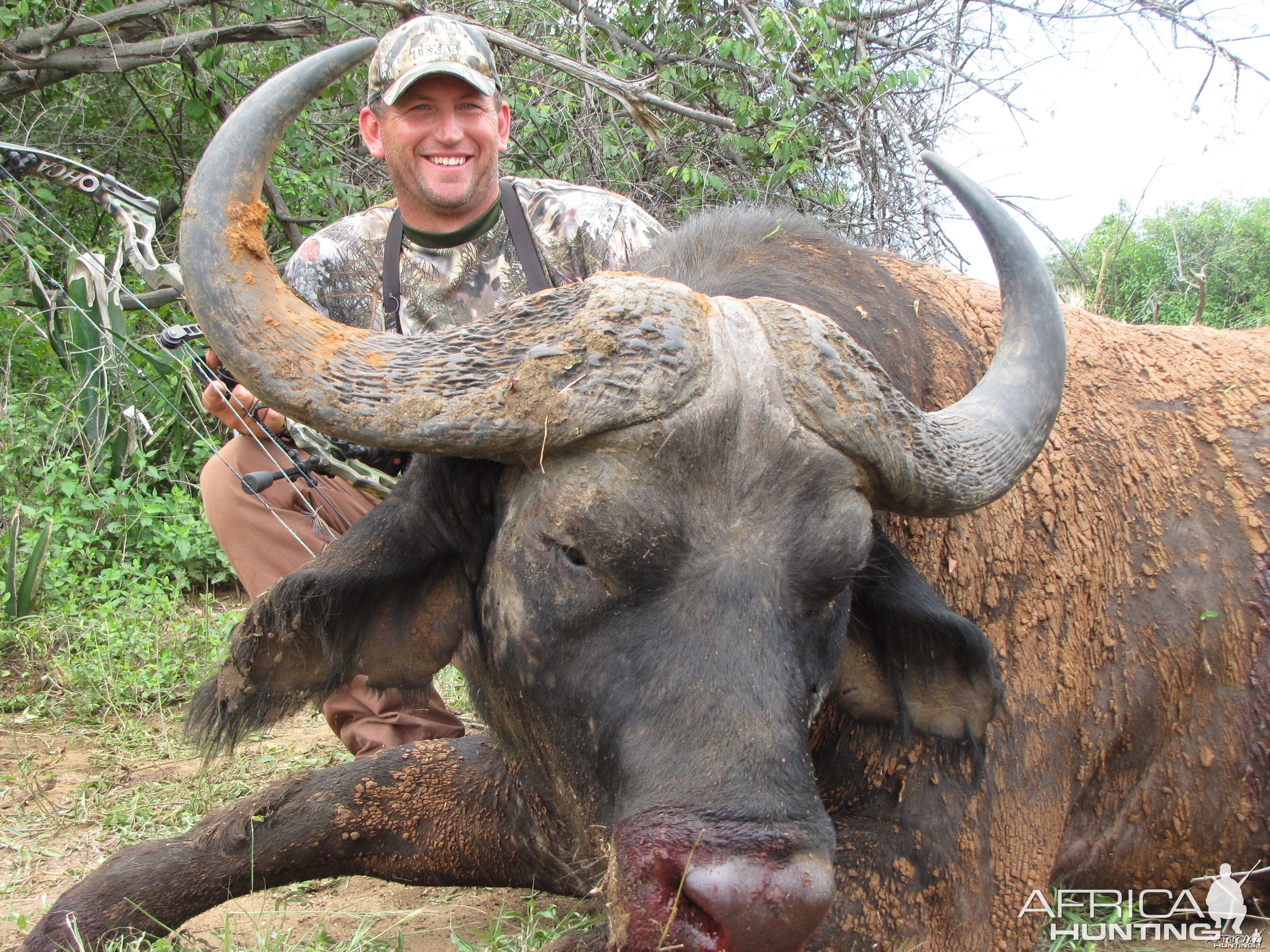 Bowhunting Nile Buffalo Uganda