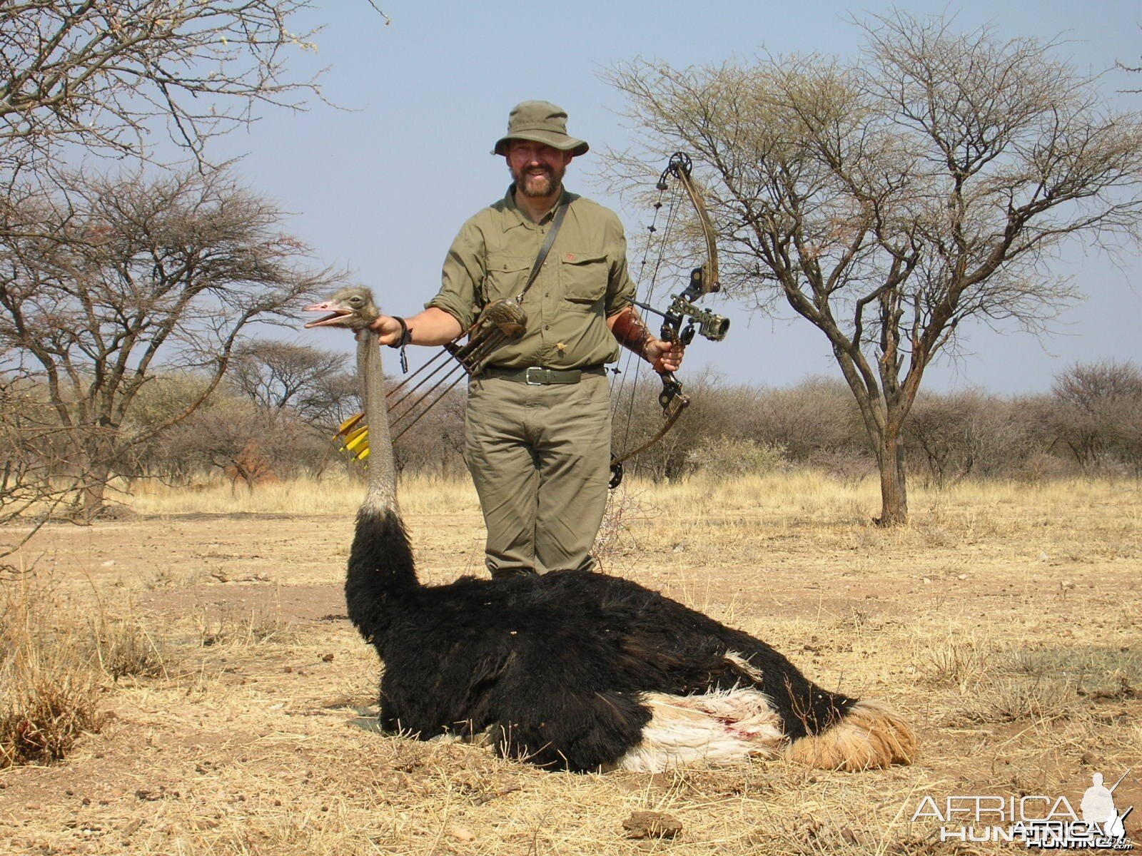 Bowhunting Ostrich in Namibia