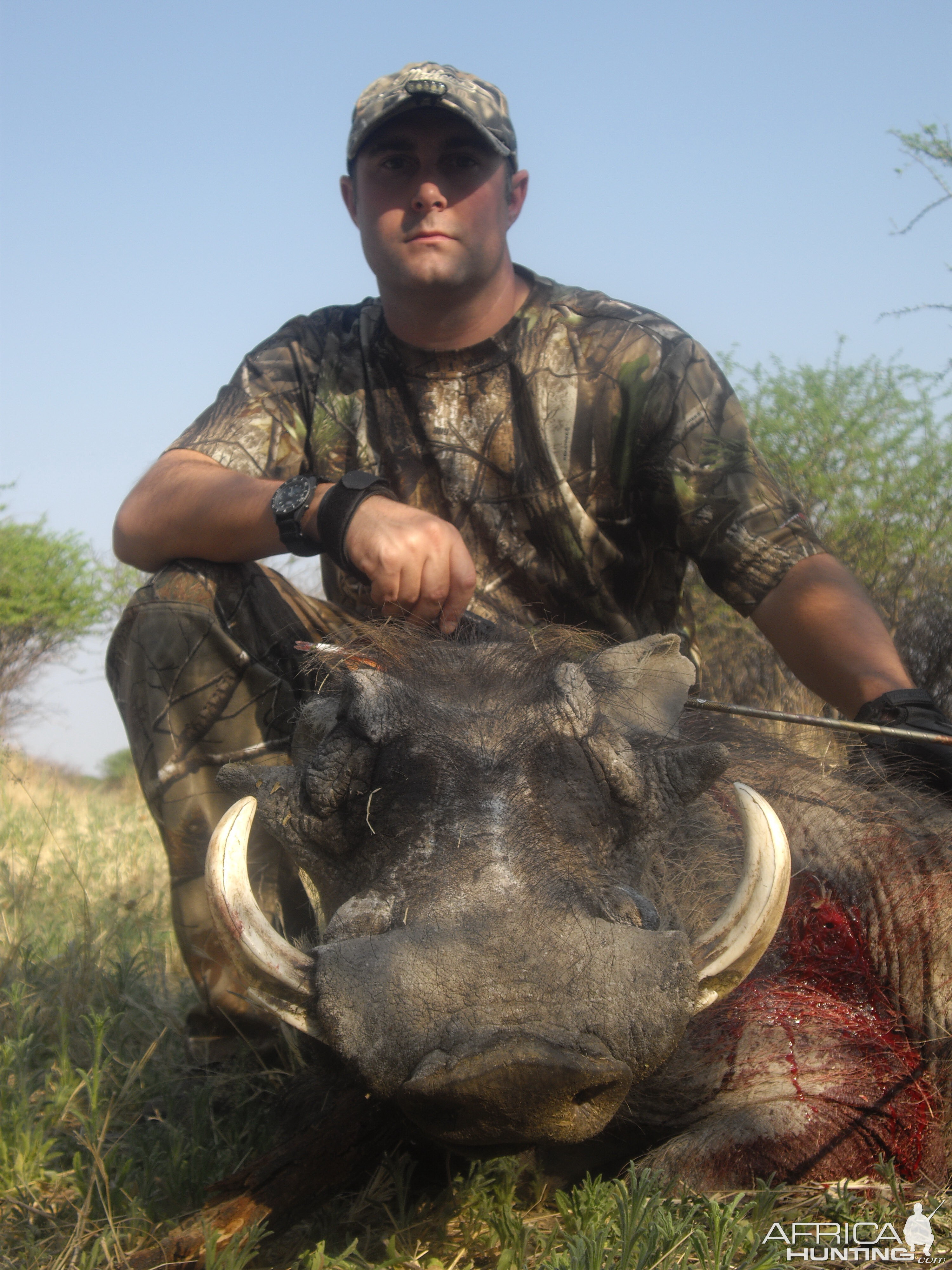 Bowhunting Warthog in Namibia
