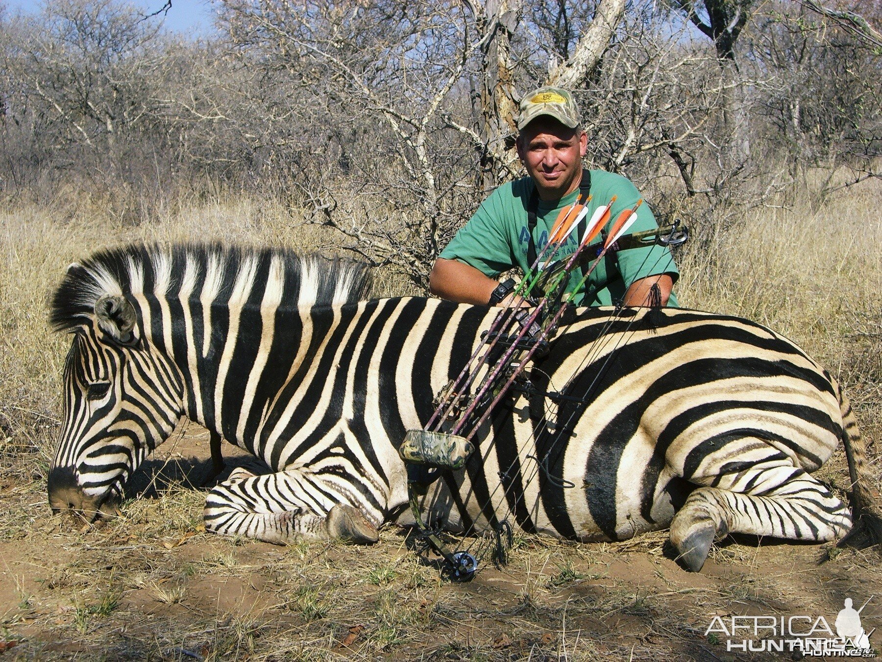 Bowhunting Zebra