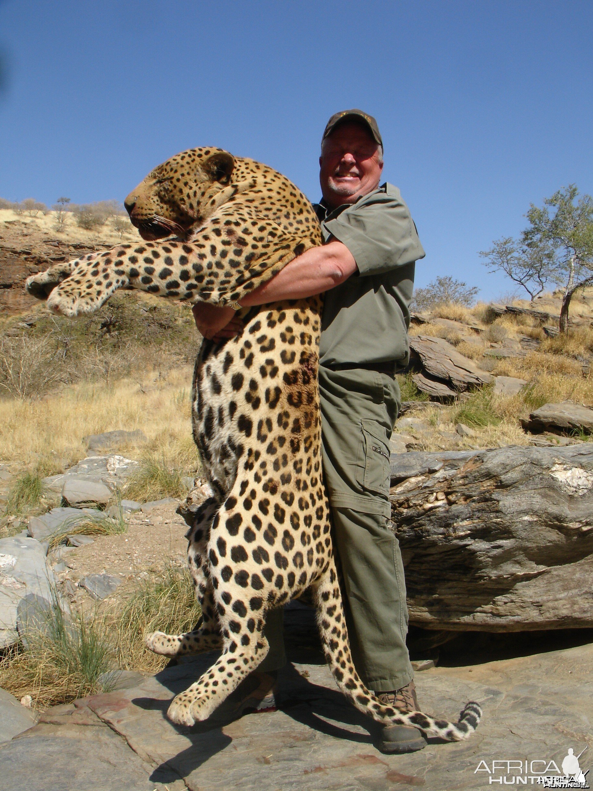 Brad Smiths Leopard Tracked by Sparks Hounds - another view of the monster