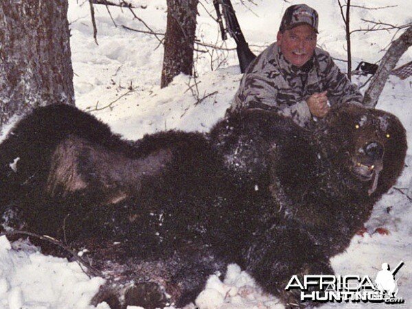 Brown Bear Hunt Alaska