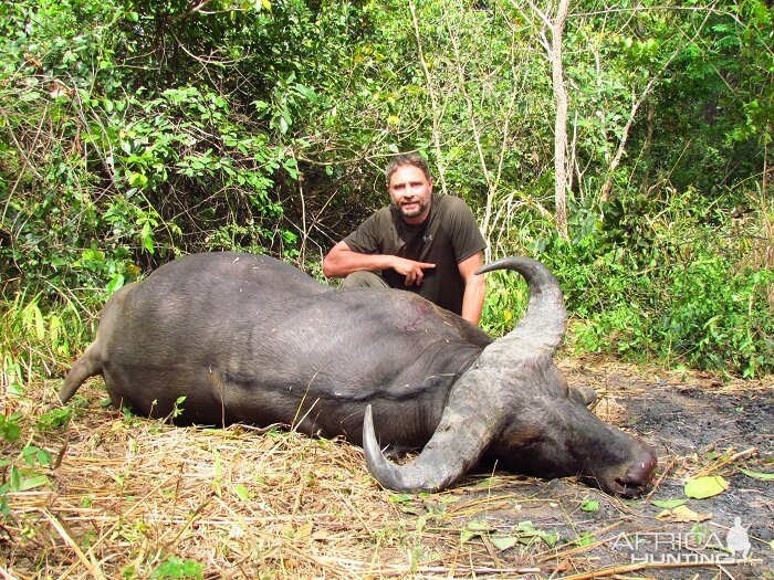 Buffalo hunt with CAWA in CAR