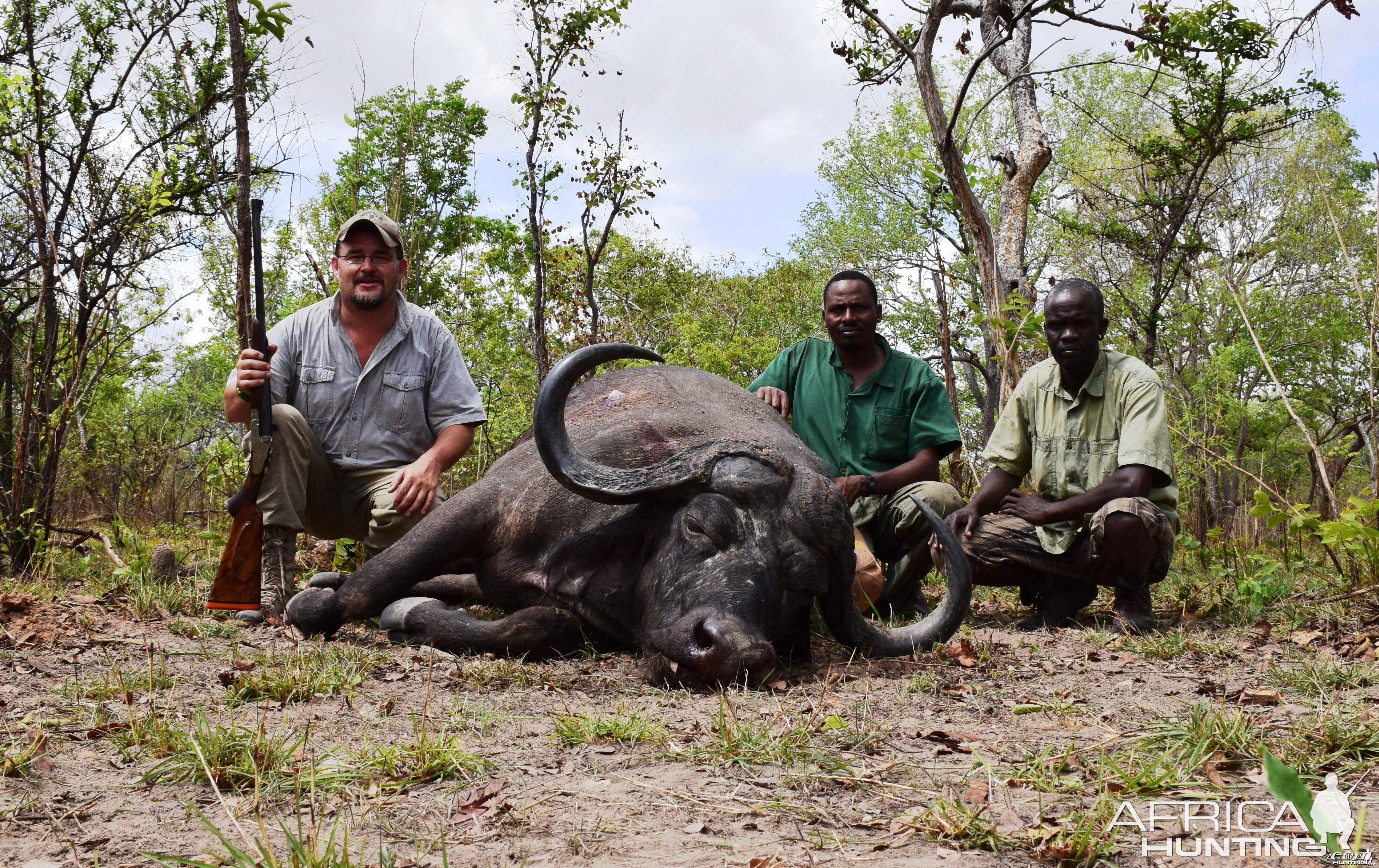 Buffalo Selous Game Reserve 2014