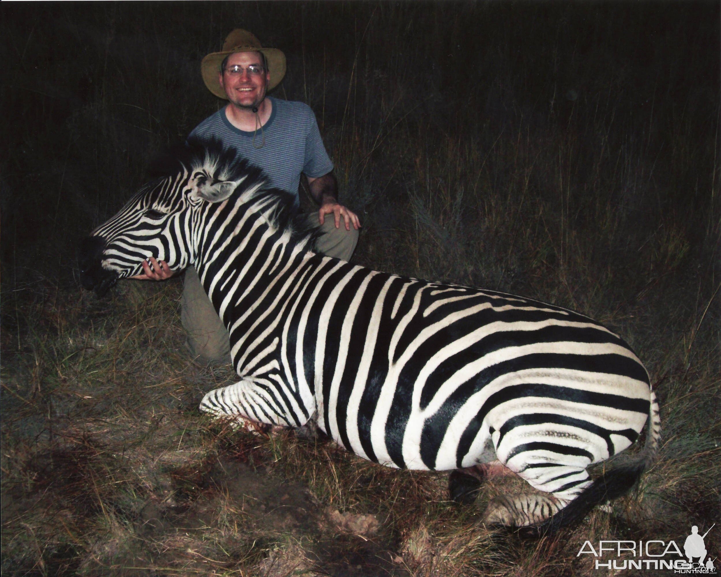 Burchell Zebra - Mhimbi Safari