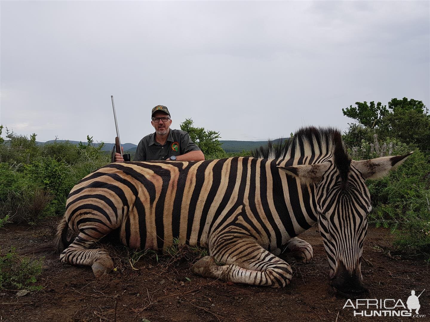 Burchell's Plain Zebra Hunting in South Africa