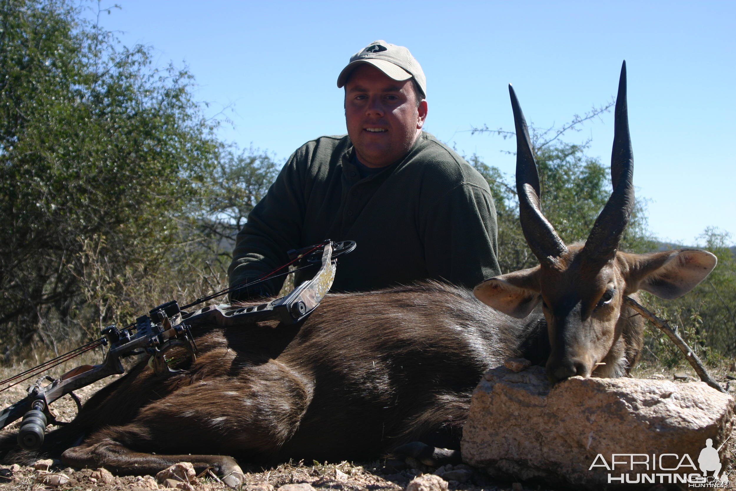 Bushbuck - First african animal