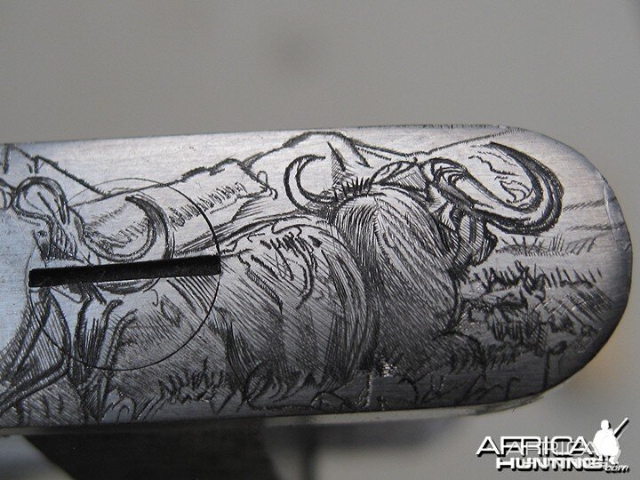 Cape Buffalo Engraving on Double Rifle