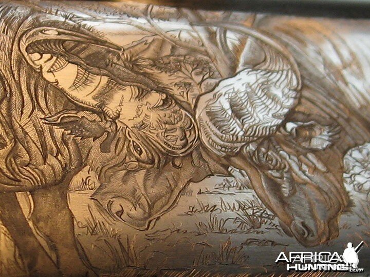 Cape Buffalo Engraving on Double Rifle