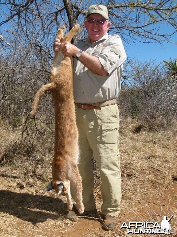 Caracal hunted with Hartzview Hunting Safaris