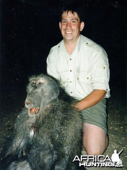 Chacma Baboon Hunted in Namibia