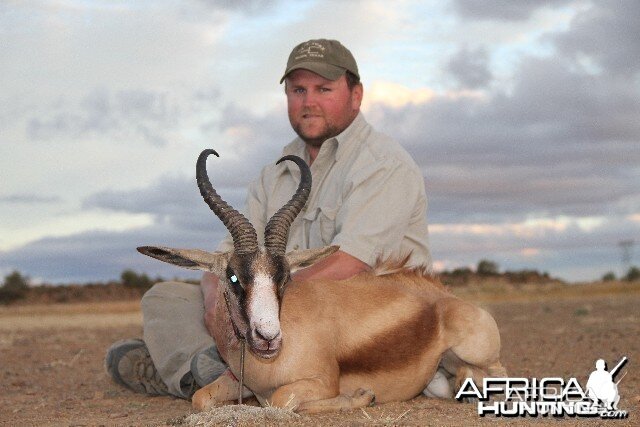 Copper Springbok SCI #20