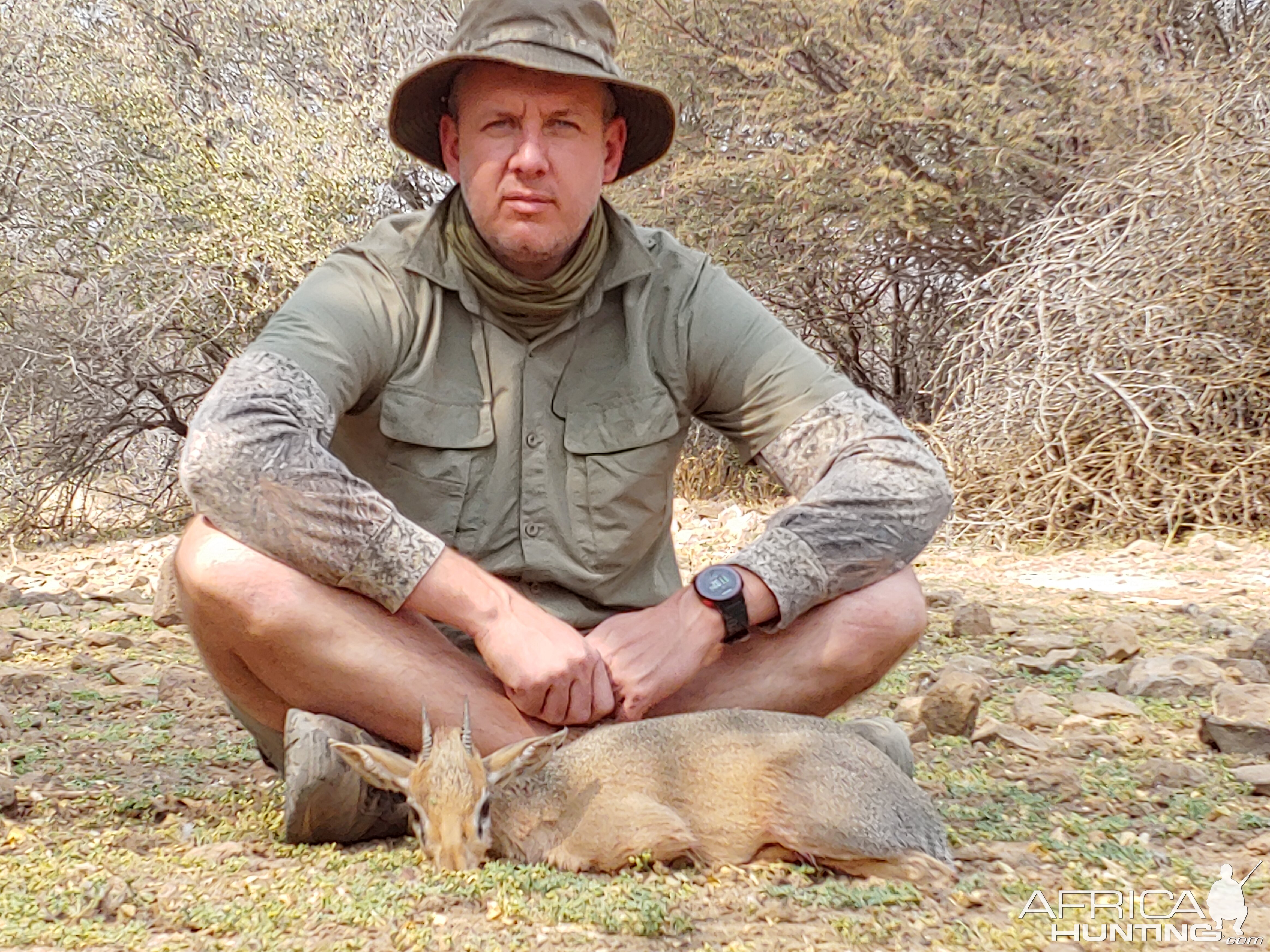 Damara Dik Dik Hunting Namibia