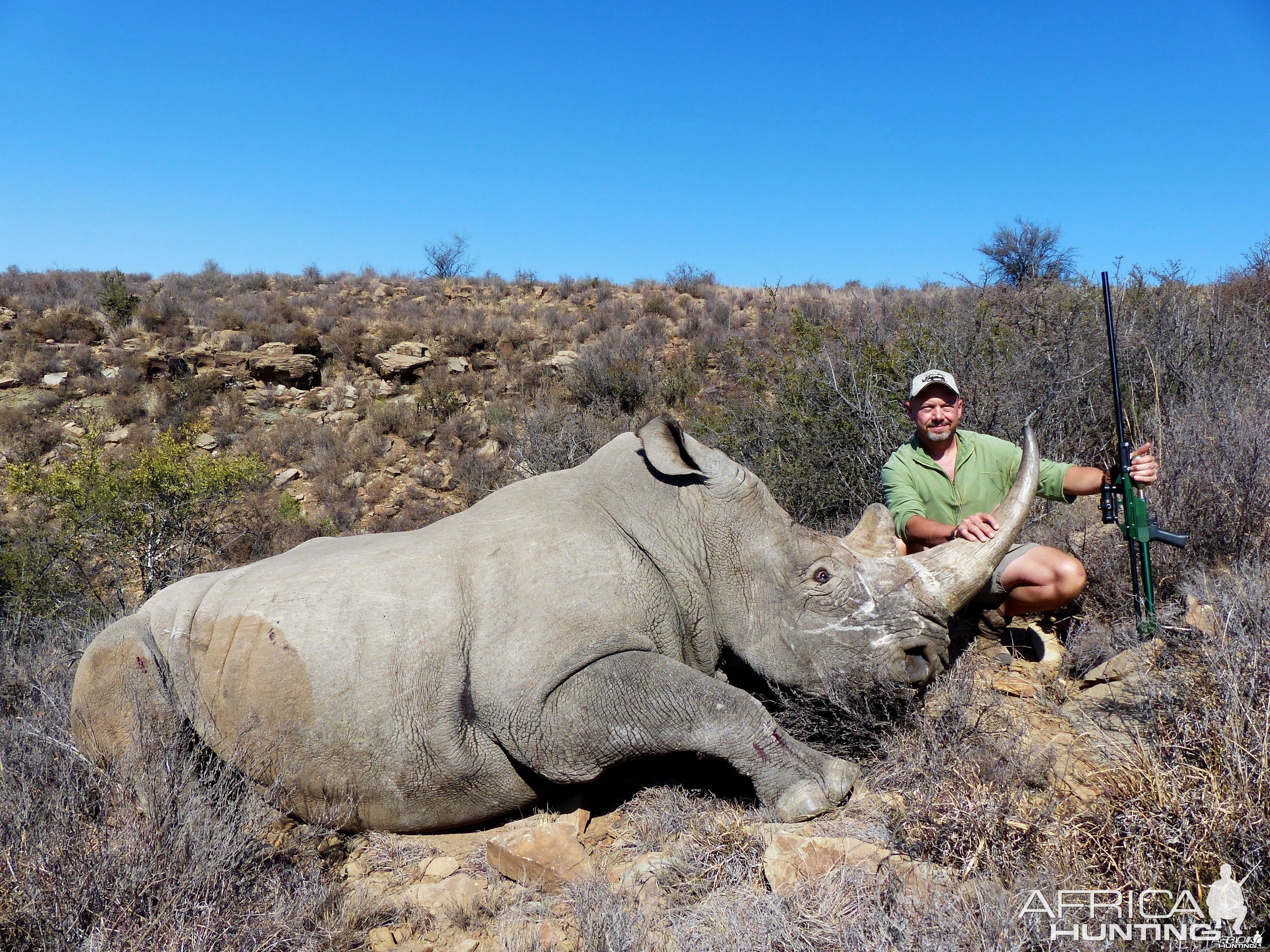 Darted White Rhino 2013