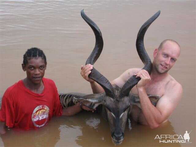 Drowned Kudu Bull