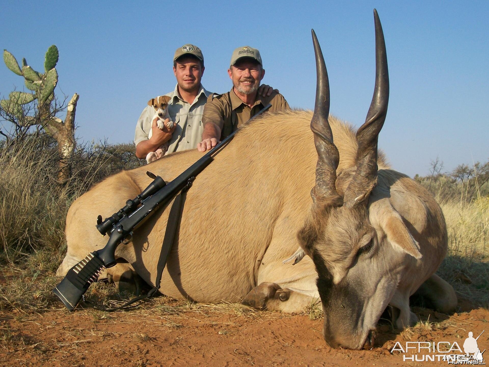 Eland Hunt at HartzView Hunting Safaris
