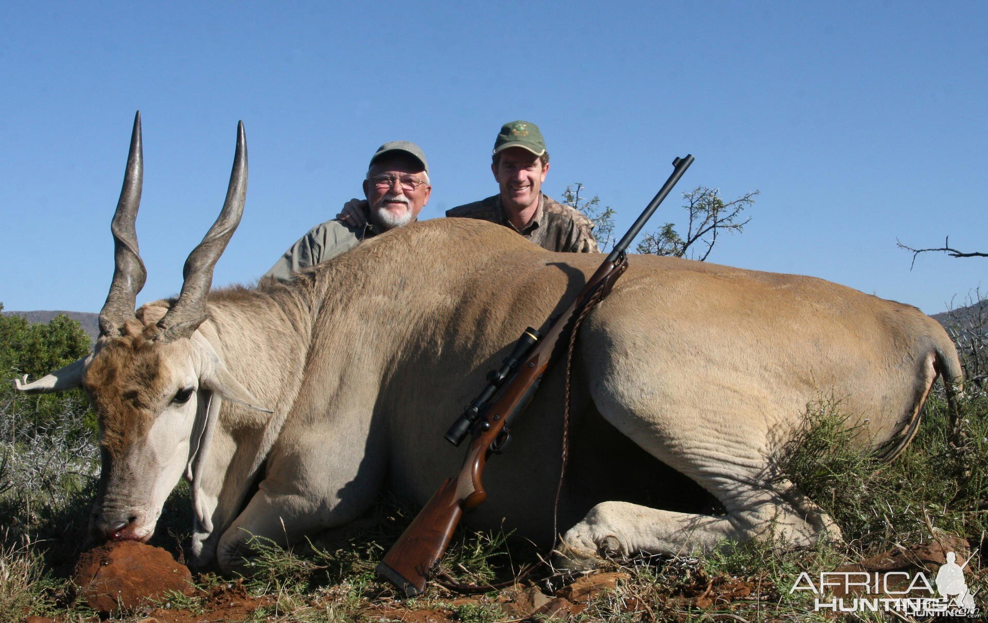 Eland hunt in South Africa