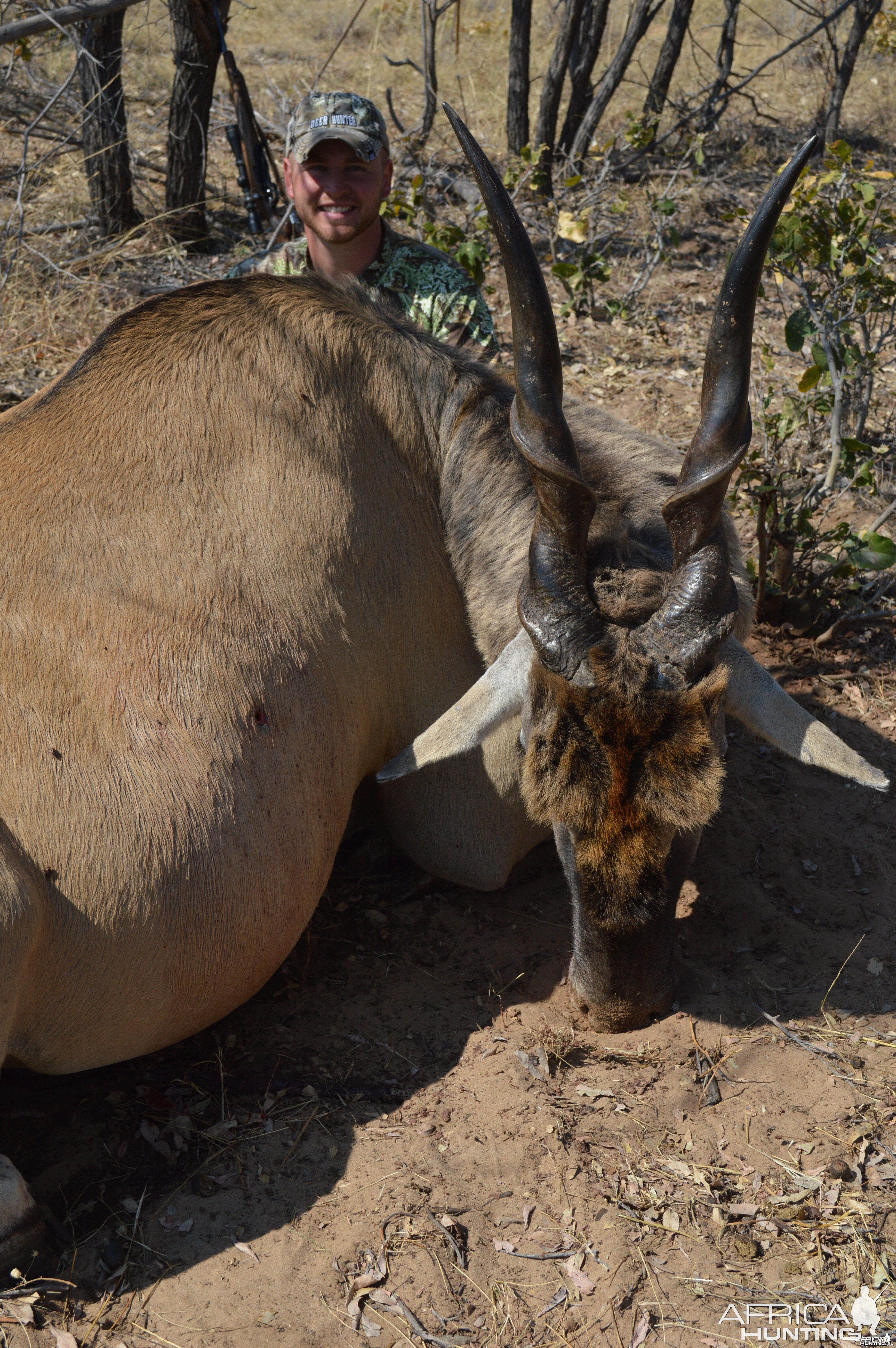 Eland