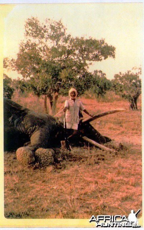 Elephant Ali, Somali gunbearer