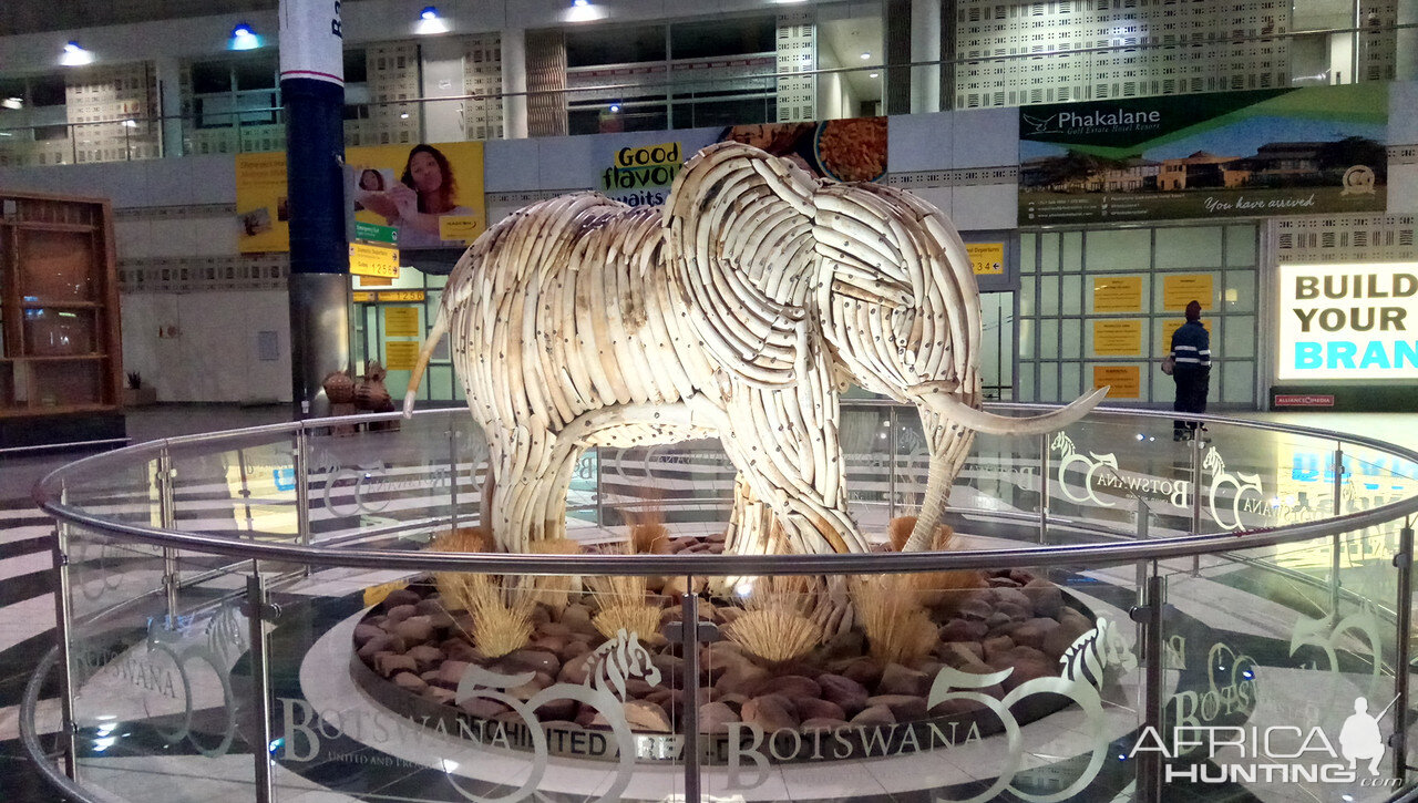 Elephant Built From Government Confiscated Ivory Tusks Gaborone Terminal Botswana
