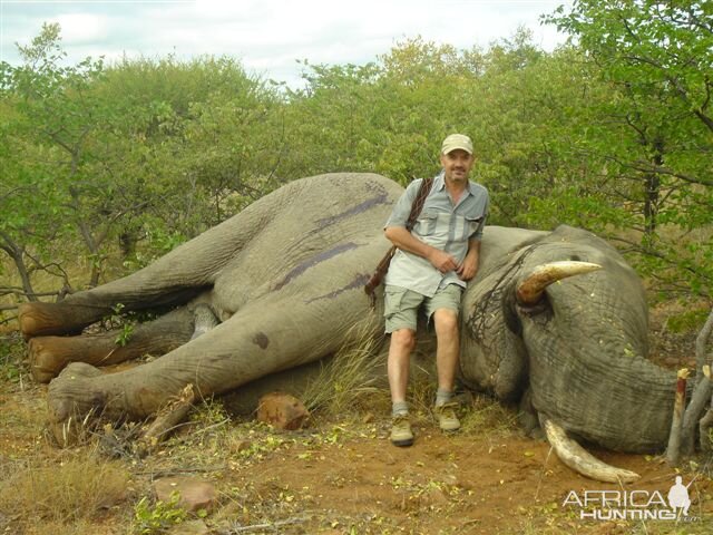 Elephant hunt in South Africa