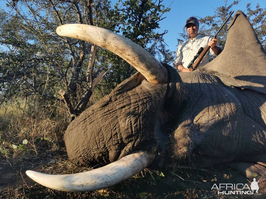 Elephant Hunting Botswana