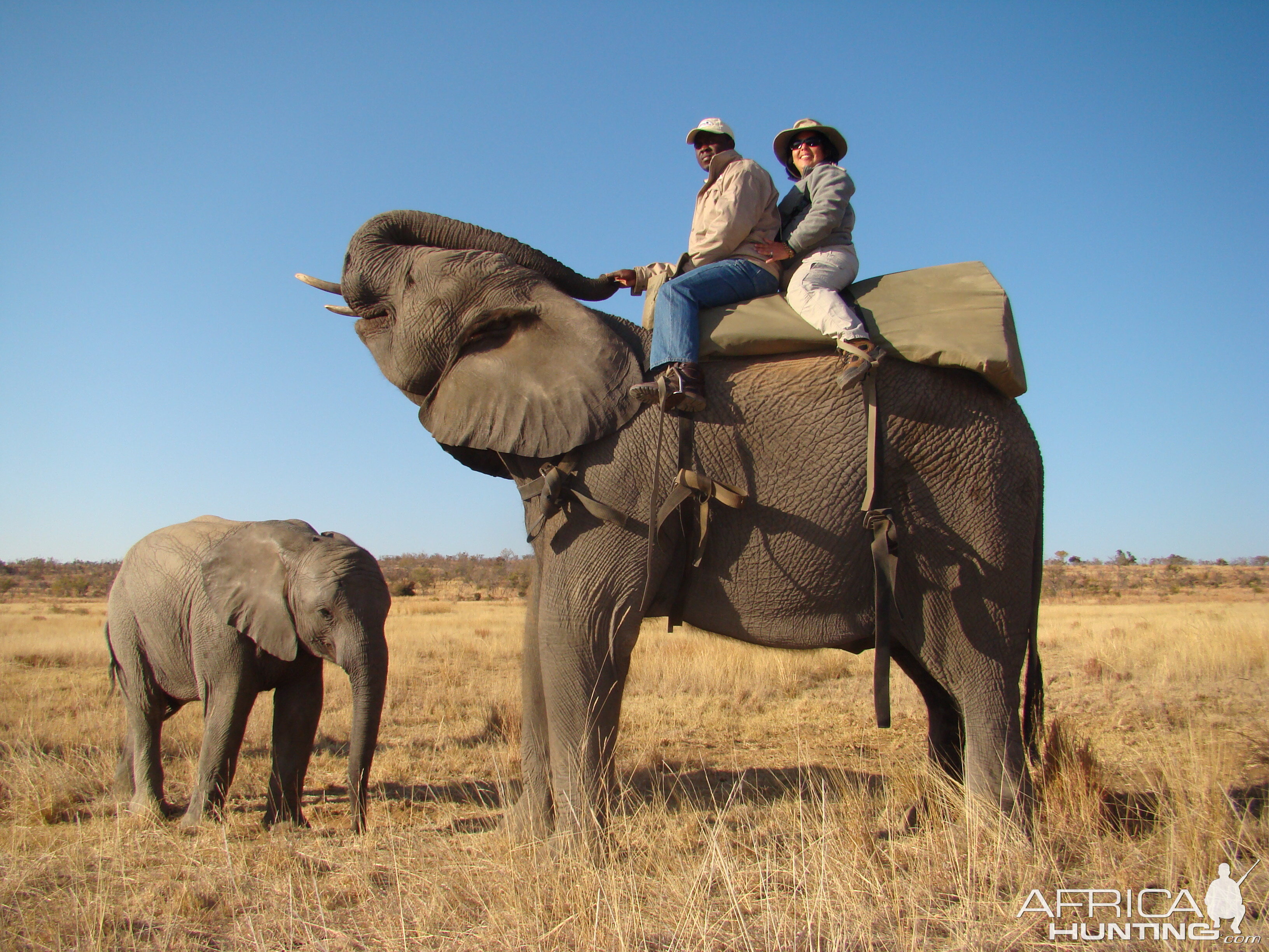 Elephant Ride Africa