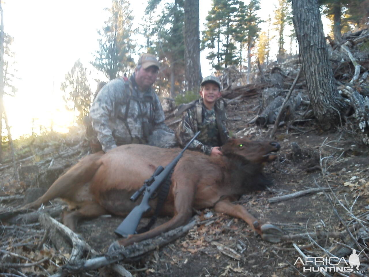 Elk Hunting USA