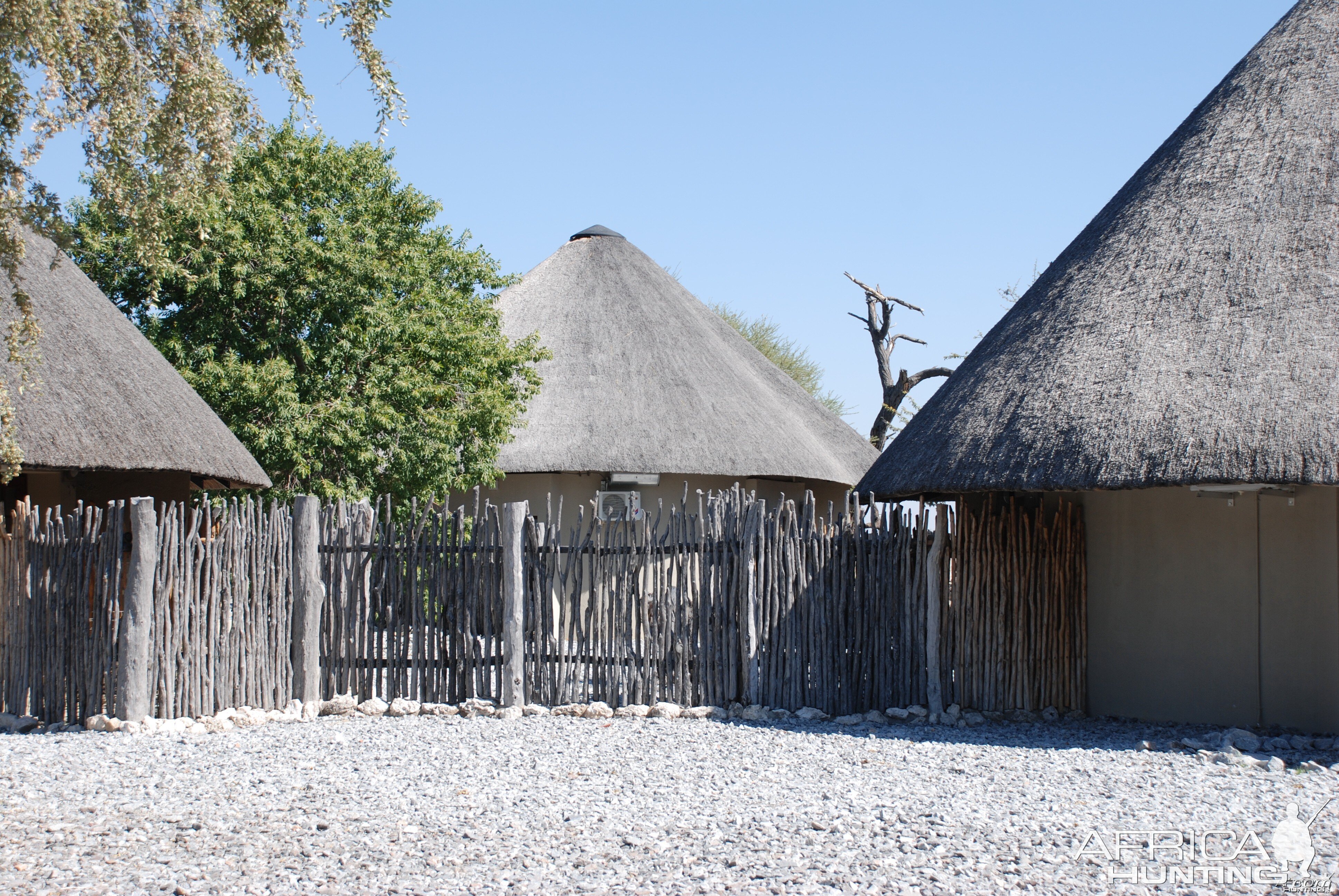 Etosha Namibia