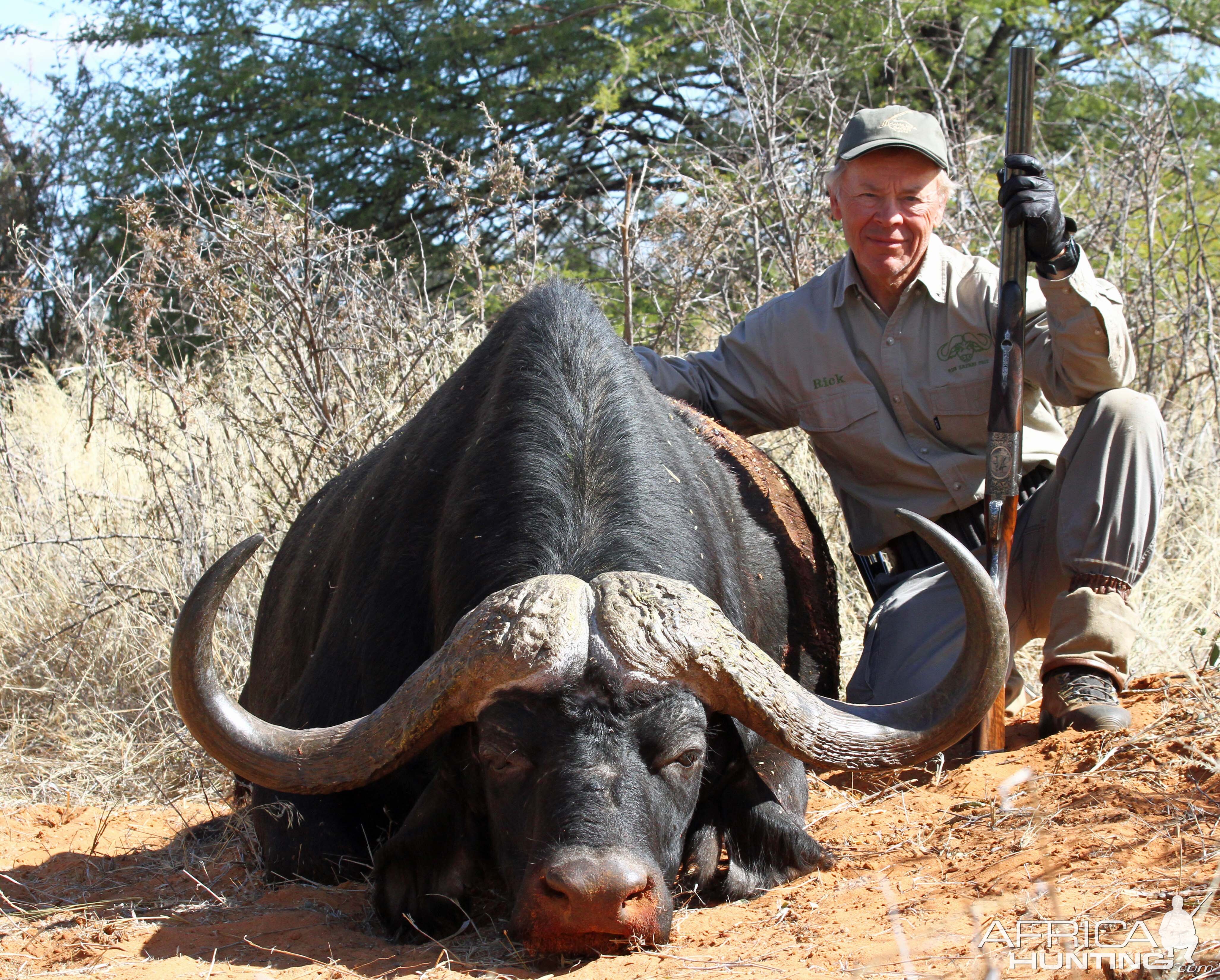 Excellent Buffalo--quite a hunt, long story which I should write about