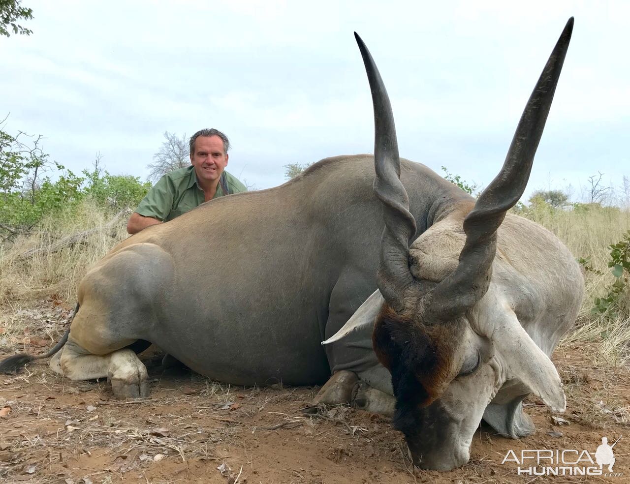 Excellent Eland bull with JKO Hunting Safaris.